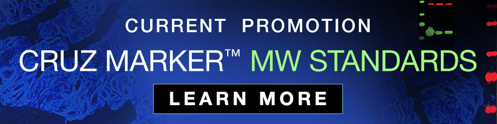 Click here for info on our Cruz Marker promotional